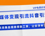 准哥自媒体变现引流抖音引流+爆文采集自媒体借助工具,让你事半功倍(附素材)-淘金日记