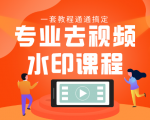 专业去视频水印教程 静态水印、动态水印、文字水印、图片水印一套教程通通搞定-淘金日记