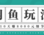 龟课·闲鱼项目玩法实战班第12期，操作10天左右利润有8000元细节玩法-淘金日记