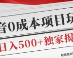 短视频变现套路剖析,抖音0成本赚钱项目玩法,日入500+独家揭秘(共2节视频)-淘金日记