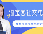 某站内部课程:淘宝客社交电商裂变,精准引流和粉丝裂变模式详解(共6节视频)-淘金日记
