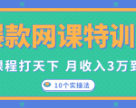 爆款网课特训营,一套课程打天下,网课变现的10个实操法,月收入3万到10万-淘金日记