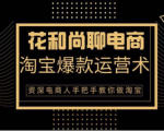 花和尚·天猫淘宝爆款运营实操技术,手把手教你月销万件的爆款打造技巧-淘金日记
