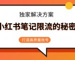 小红书笔记限流的秘密,被限流的笔记独家解决方案,打造高质量账号(共3节视频)-淘金日记