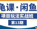 龟课·闲鱼项目玩法实战班第13期，轻松玩转闲鱼，多渠道多方法引流到私域流量池-淘金日记