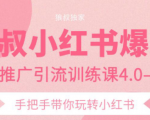狼叔小红书爆款推广引流训练课4.0，手把手带你玩转小红书-淘金日记