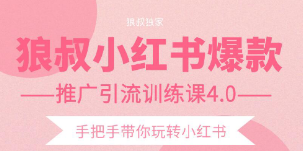狼叔小红书爆款推广引流训练课4.0，手把手带你玩转小红书-淘金日记