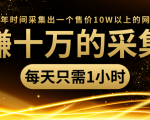 年赚十万的采集站,每天却只需要1小时,一年时间采集出一个售价10W以上的网站-淘金日记