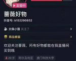 爆抖联盟蔷薇好物连怼100技术,一天连怼上百个视频,单场直播平均带货30万玩法-淘金日记