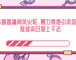 抖音直播间风火轮，暴力微信引流技术，低成本日加上千法-淘金日记