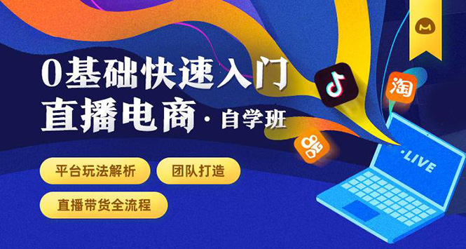 0基础快速入门直播电商课程：直播平台玩法解析-团队打造-带货全流程等环节-淘金日记