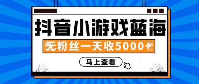 赚钱计划：抖音小游戏蓝海项目，无粉丝一天收入5000+-淘金日记