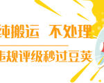 抖音纯搬运 不处理 小技巧,30秒发一个作品,避免违规评级秒过豆荚-淘金日记