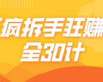 三疯拆手狂赚计,全30计课程-淘金日记