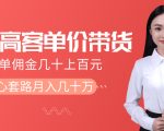 抖音高单价带货项目,一单佣金几十上百元,核心套路月入几十万(共3节)-淘金日记