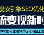 SEO搜索引擎优化总监实战VIP课堂【透析2020最新案例】快速实现年新30W-淘金日记
