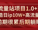 《大流量站项目1.0+2.0》打造日IP10W+高流量站,前期很累后期躺赚-淘金日记