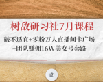 树敌研习社7月课程:破不适宜+零粉万人直播间卡广场+团队赚佣16W美女号套路-淘金日记
