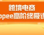 2020跨境电商蓝海新机会-SHOPEE大卖特训营:高阶终极课程(16节课)-淘金日记