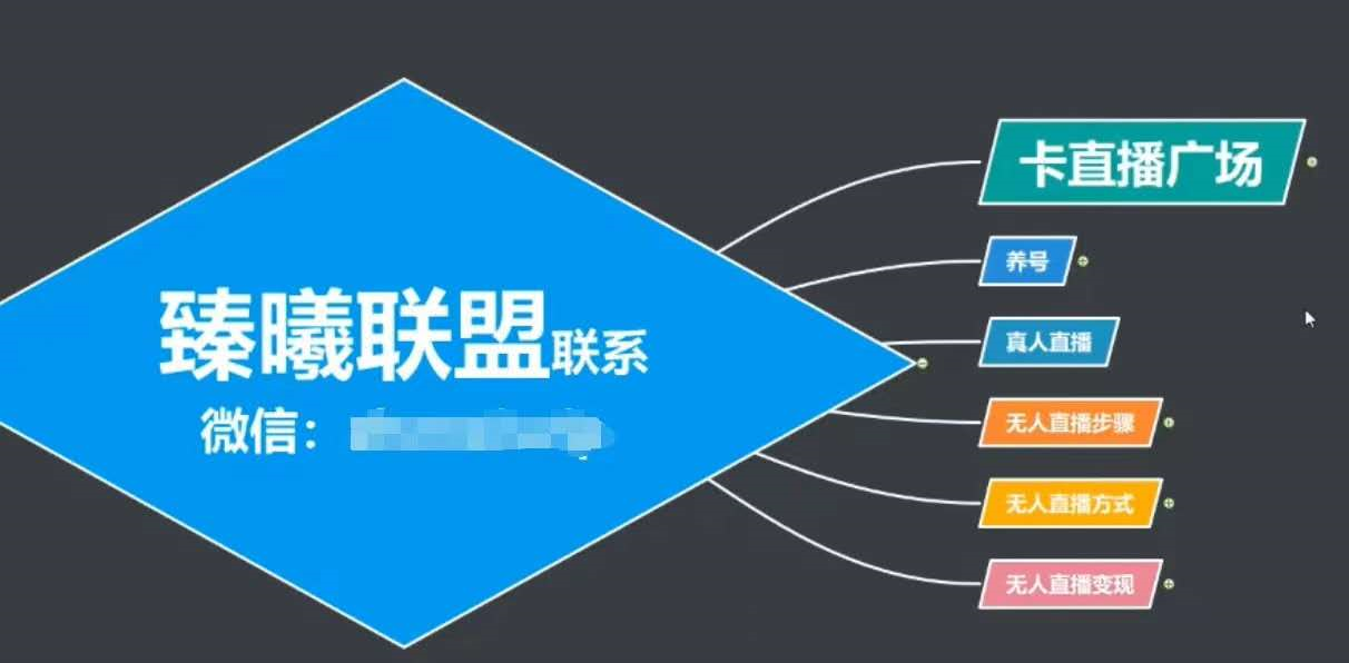 臻曦联盟,最新无人直播万人在线技术理原及详细操作步骤解析(视频教程)-淘金日记