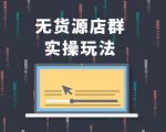 无货源店群实操玩法，蓝海选品的独特思路，店群软件操作方法（45节视频课）-淘金日记