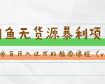 斜杠蜻蜓·闲鱼无货源暴利项目：让你百分百月入过万的教学课程（v1-v5班）-淘金日记