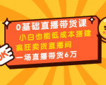 0基础直播带货课:小白也能低成本搭建疯狂卖货直播间:1场直播带货6万-淘金日记