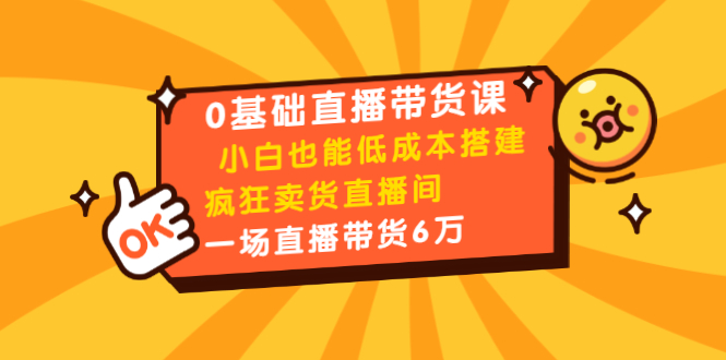 0基础直播带货课:小白也能低成本搭建疯狂卖货直播间:1场直播带货6万-淘金日记