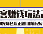 淘客赚钱玩法2.0,阳光绿色超正规项目,月躺赚2W+【视频课程】-淘金日记