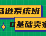 亚马逊系统班，专为0基础卖家量身打造，亚马逊运营流程与架构-淘金日记