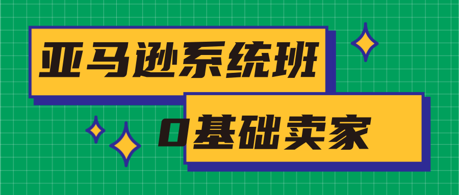 亚马逊系统班，专为0基础卖家量身打造，亚马逊运营流程与架构-淘金日记