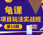 龟课·闲鱼项目玩法实战班第14期,批量细节玩法,一个月收益几万-淘金日记