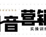 《12天线上抖音营销实操训练营》通过框架布局实现自动化引流变现-淘金日记