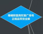 臻曦联盟抖音高权重广场号无人直播正规品带货全解-淘金日记