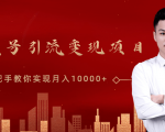 微信视频号运营变现课，带你玩转视频号实现月入10000+-淘金日记