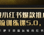 小红书爆款推广引流训练课5.0,手把手带你玩转小红书(17节实操视频+话术)-淘金日记