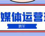 鹏哥自媒体运营班、宝妈兼职，也能月入2W，重磅推荐！【价值899元】-淘金日记