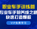 职业车手训练营:专业车手的养成之路,快速打造爆款(8节-无水印直播课)-淘金日记