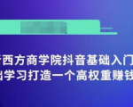 抖音基础入门班：小白0基础学习打造一个高权重赚钱的抖音号-淘金日记