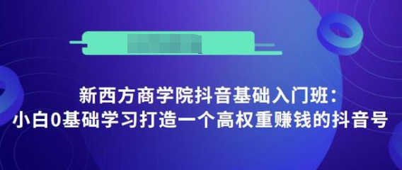 抖音基础入门班：小白0基础学习打造一个高权重赚钱的抖音号-淘金日记
