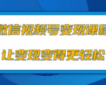 微信视频号变现项目，0粉丝冷启动项目和十三种变现方式-淘金日记