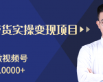 柚子分享课:微信视频号变现攻略,新手零基础轻松日赚千元-淘金日记