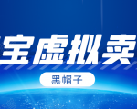 黑帽子淘宝虚拟卖货项目,单店每月收入5000+-淘金日记