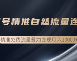 垂直起号精准自然流量连爆玩法,精准引流暴力变现月入10000+-淘金日记