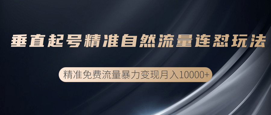 垂直起号精准自然流量连爆玩法，精准引流暴力变现月入10000+-淘金日记