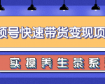 柚子视频号带货实操变现项目,零基础操作养身茶月入10000+-淘金日记