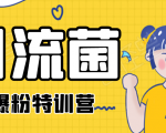 引流菌2020全网爆粉特训营(QQ群霸屏,知乎引流,群裂变,自动化引流等)-淘金日记