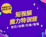 零基础小白进阶到大神《短视频魔力特训营》定位-运营-引流-变现-淘金日记