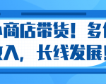 微信小商店带货,爆单多倍收入,长期复利循环!日赚300-800元不等-淘金日记