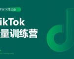 2020最新TikTok流量增长训练营（完结）附PPT-淘金日记